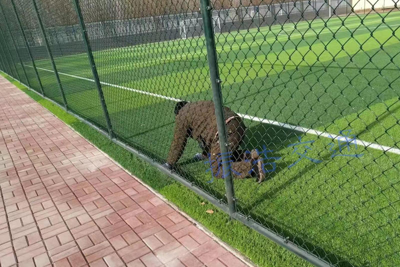 Cerca do estádio